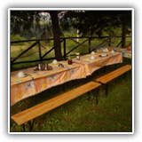 017-prima_colazione_nel_giardino