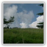 030-_veduta_nel_verde