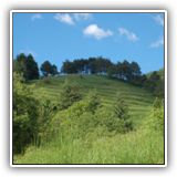 032- panorama