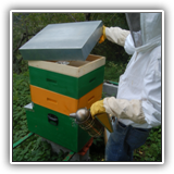 045-preparazione