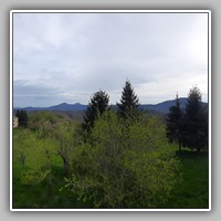 panorama orso stanco